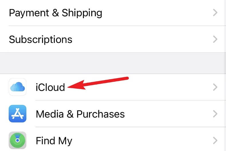 Then, tap the option for ‘iCloud’.