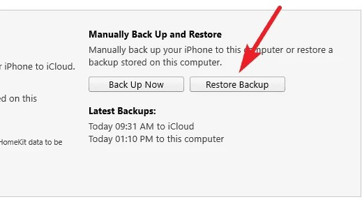 ack Up and Restore section to replace the data