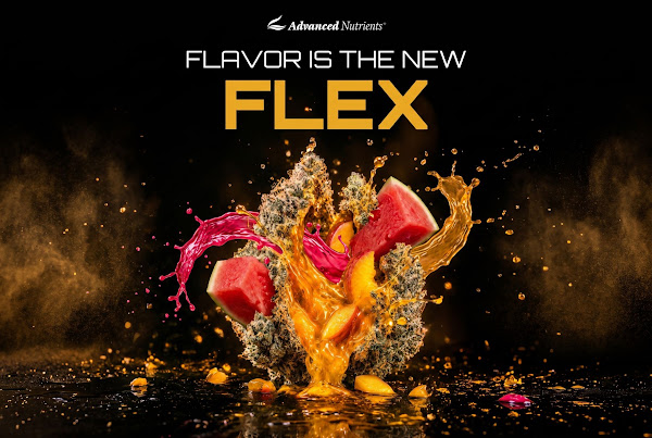Michael “Big Mike” Straumietis and Advanced Nutrients product lineup
