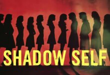 Shadow self leadership emotional agency concept